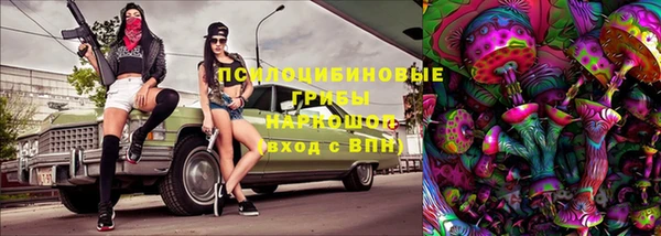 СК Михайловск