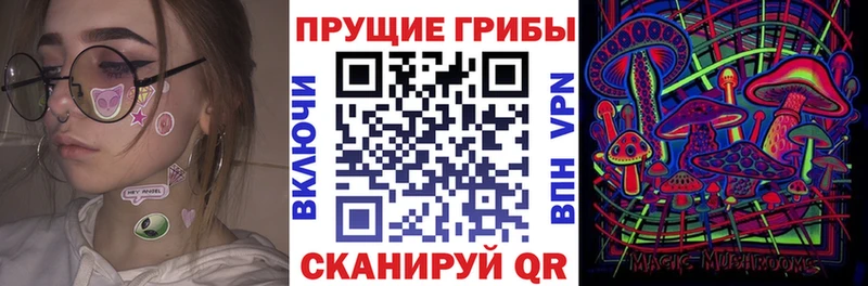 Купить где Кимры Псилоцибиновые грибы Psilocybe